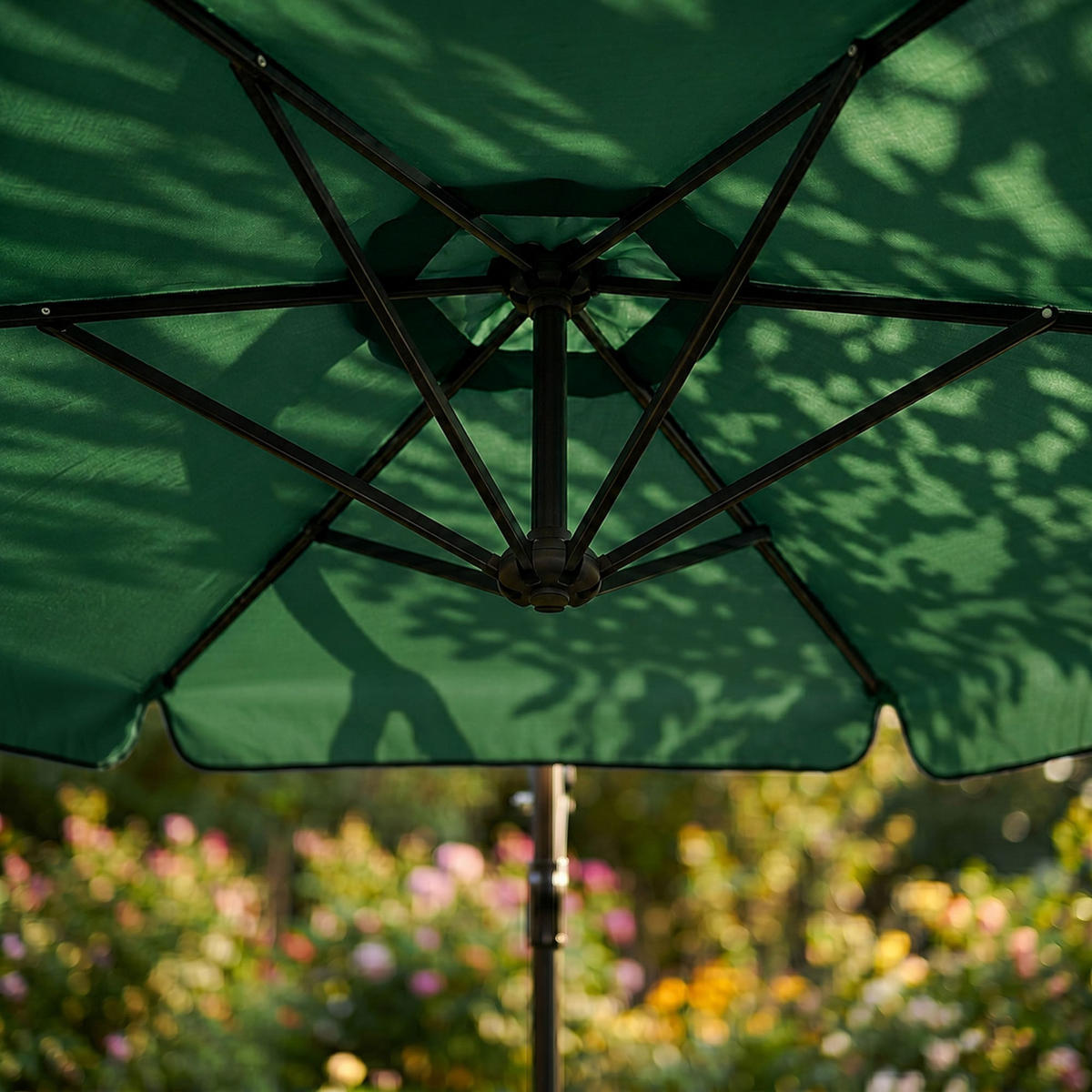 SONNENSCHRIM Grün 245/300 cm - Schwarz/Grün, Metall (300/300cm) - Akord