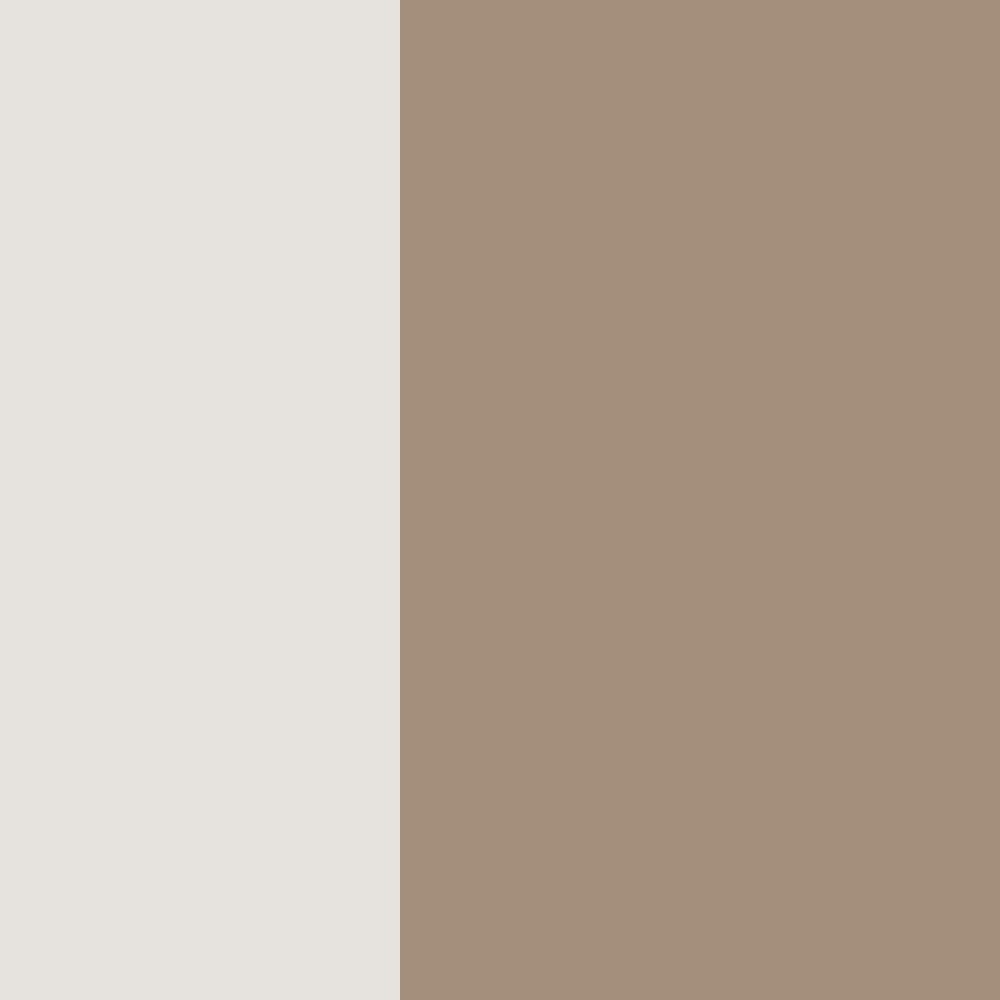 SCHUBLADENUNTERSCHRANK Brerra D2R/80 Korpus grau / Front RAL 1019 graubeige Matt 80 / 50 / 82 cm Schubladensystem REJS Comfort Box - Graubraun/Grau, Holz/Holzwerkstoff (80/82/50cm) - Feldmann-Wohnen