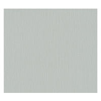 VLIESTAPETE Grau 53/1005 cm - Grau, Textil (53/1cm) - KUNSTLOFT