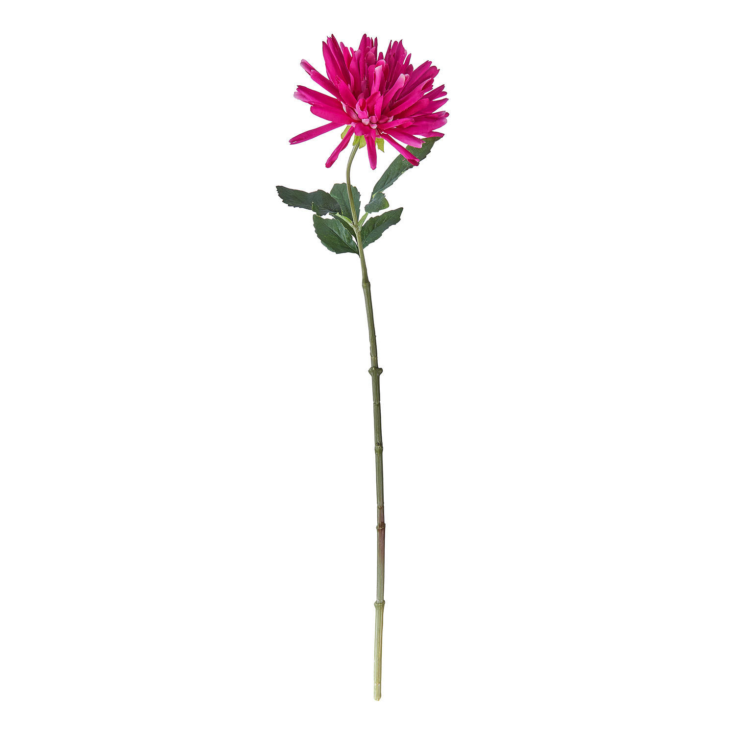 KUNSTBLUME Florista Dahlie - Polyethylen/Polyester - Rosa - Pink, Kunststoff (59cm) - BUTLERS