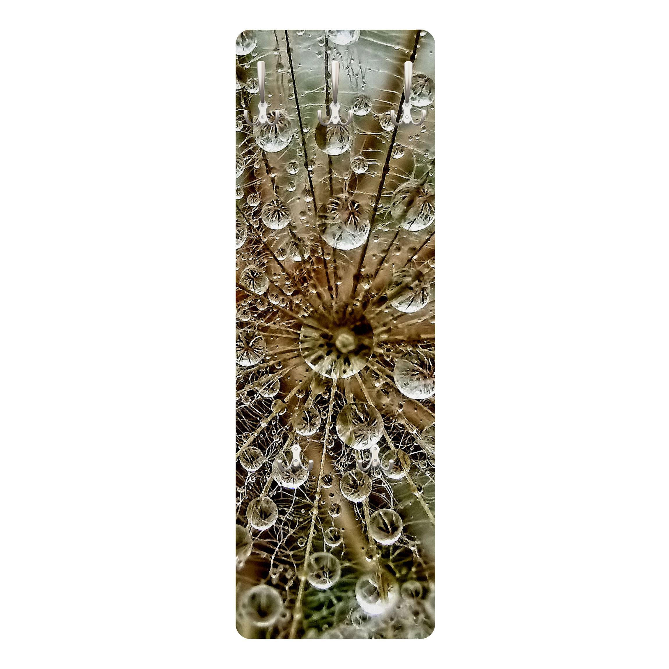 WANDGARDEROBE - Pusteblume im Herbst 34/105 cm - Beige, Holzwerkstoff (34/105/1.6cm) - Bilderwelten