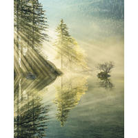 FOTOTAPETE bewaldete Landschaft 200 x 250 cm - Grün, Papier (200/250cm) - Sanders & Sanders