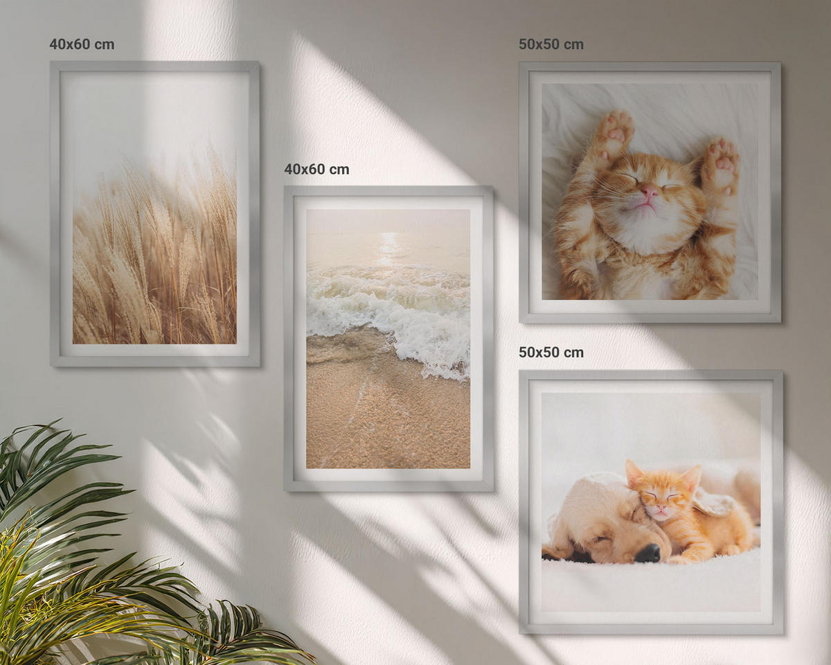 BILDER SET 4er Set - 50x50 cm & 40x60 cm Silberner Rahmen - Niedliche Tiere, Katzen, Hunde, Strand - Silberfarben, Kunststoff (50/50cm) - TULUP