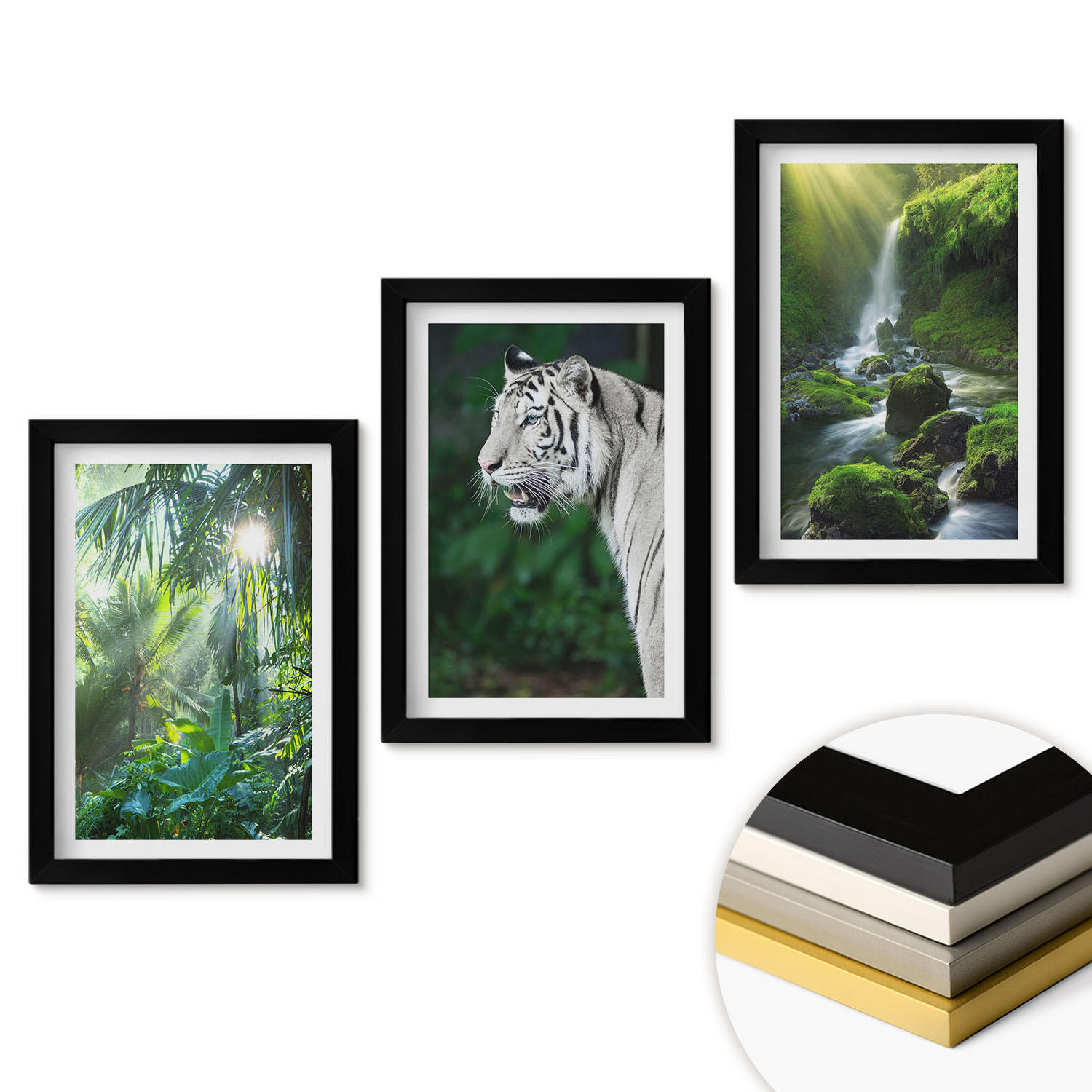 WANDBILDER 3er-Set - 20x30 cm Schwarzer Rahmen - Dschungeltigerwasserfall - Schwarz, Kunststoff (20/30cm) - ArtPrintCave