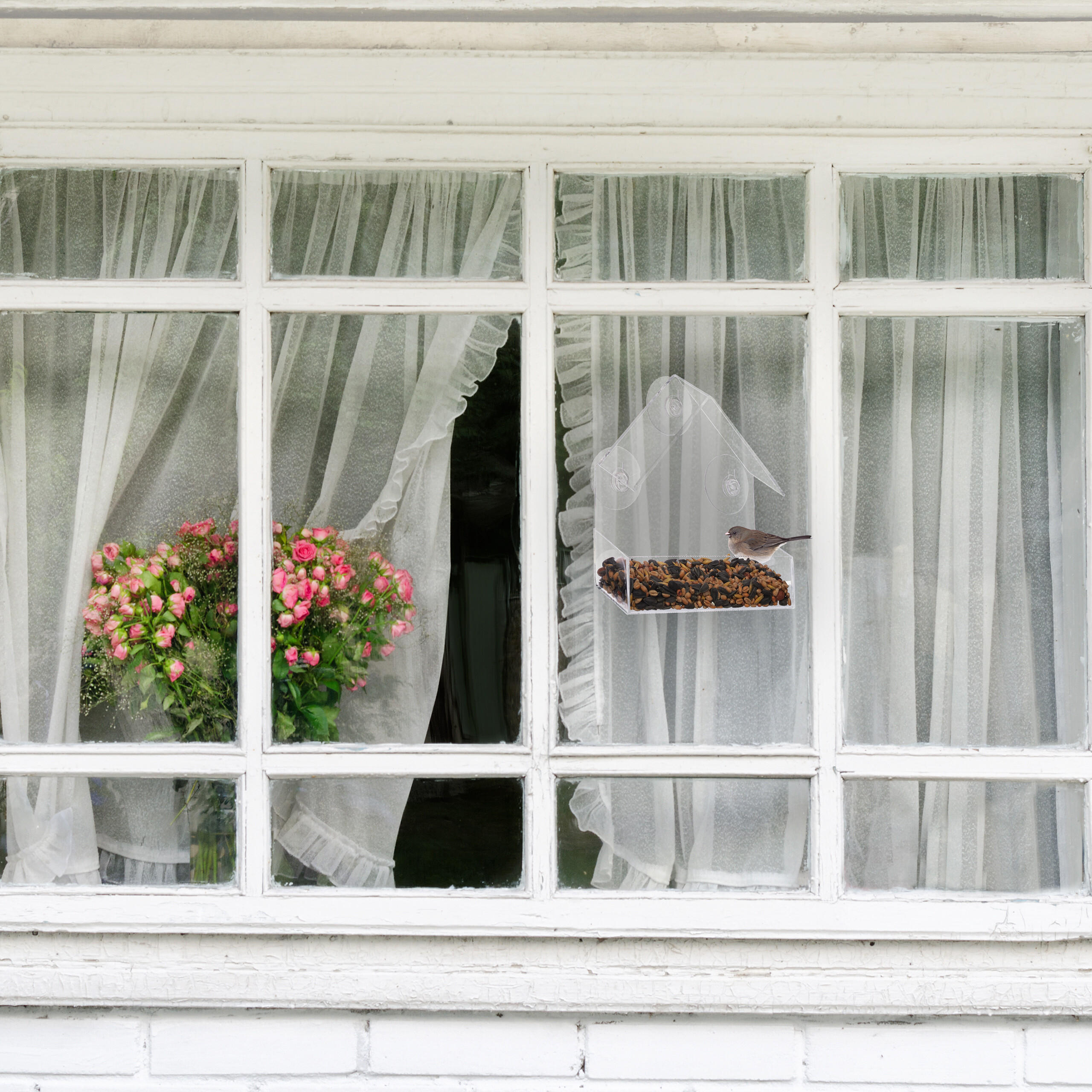 FENSTER-VOGELFUTTERHAUS - Transparent, Kunststoff (15/15/7cm) - Relaxdays