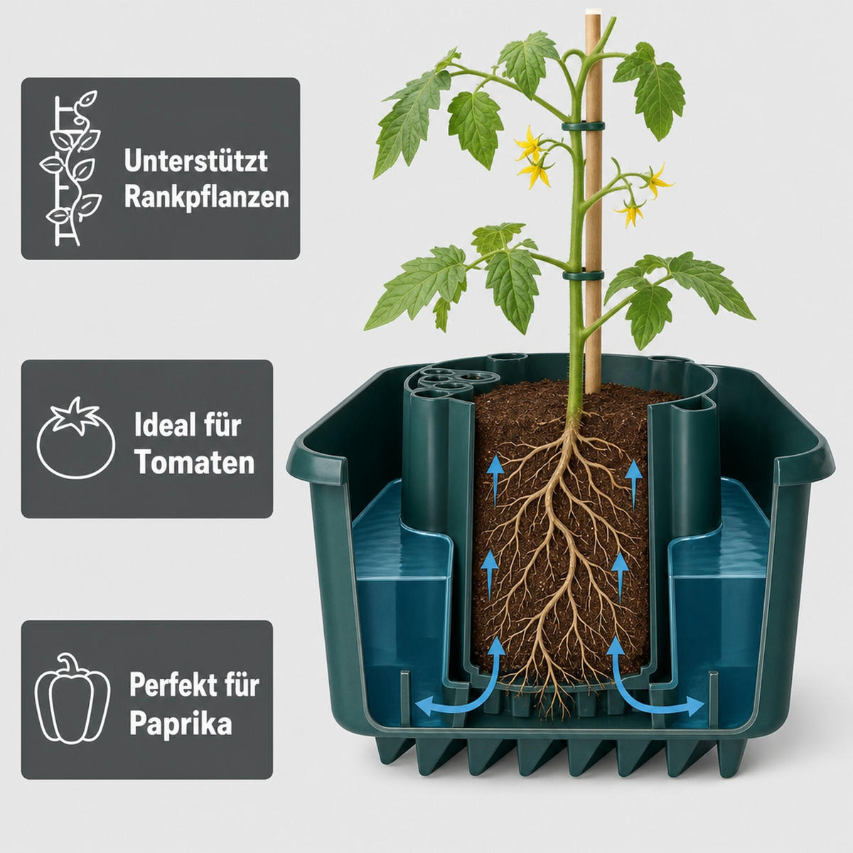 PFLANZGEFÄSS mit Wasserspeicher - Petrol, Kunststoff (15cm) - Garden Pleasure