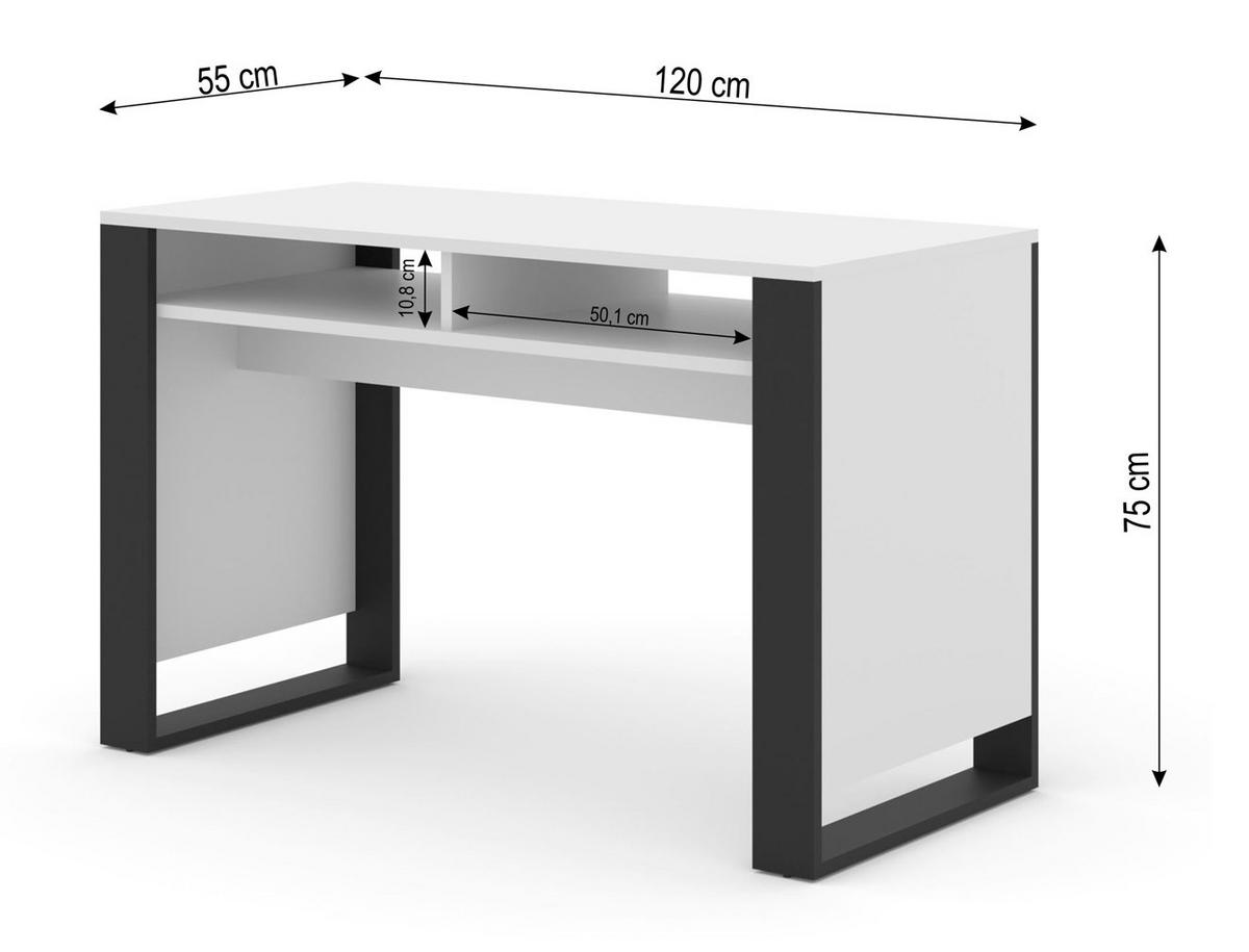 SCHREIBTISCH Weiß, Schwarz 120/75/55 - Schwarz/Weiß, Holzwerkstoff (55/120/75cm) - RAUMHIRSCH FURNITURE