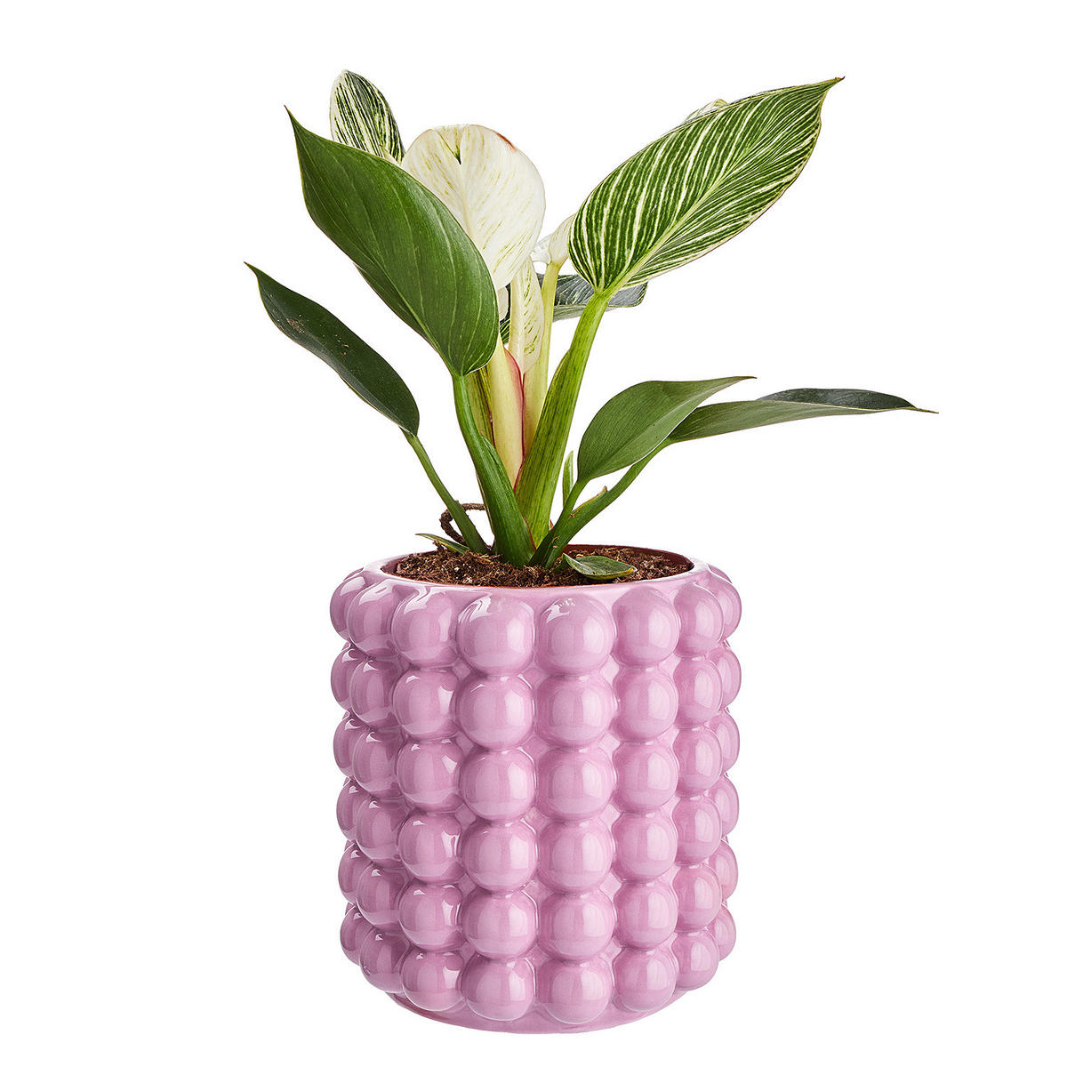 BLUMENÜBERTOPF Bubble - Pink, Keramik (15cm) - Butlers
