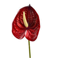 UMĚLÁ KVĚTINA Anthurium Viridis, červená - červená, plast (60cm) - Mondex