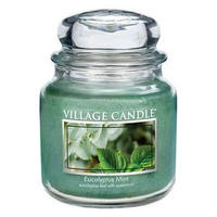 DUFTKERZE Eucalyptus Mint Grün 411g Glas, Aromakerze, Raumduftkerze, Duftglas, Wellnesskerze, Duftwachs, Wohndeko, Geschenkidee, Duftkerze Glas - Hellgrün, Glas/Paraffin (13cm) - Village Candle