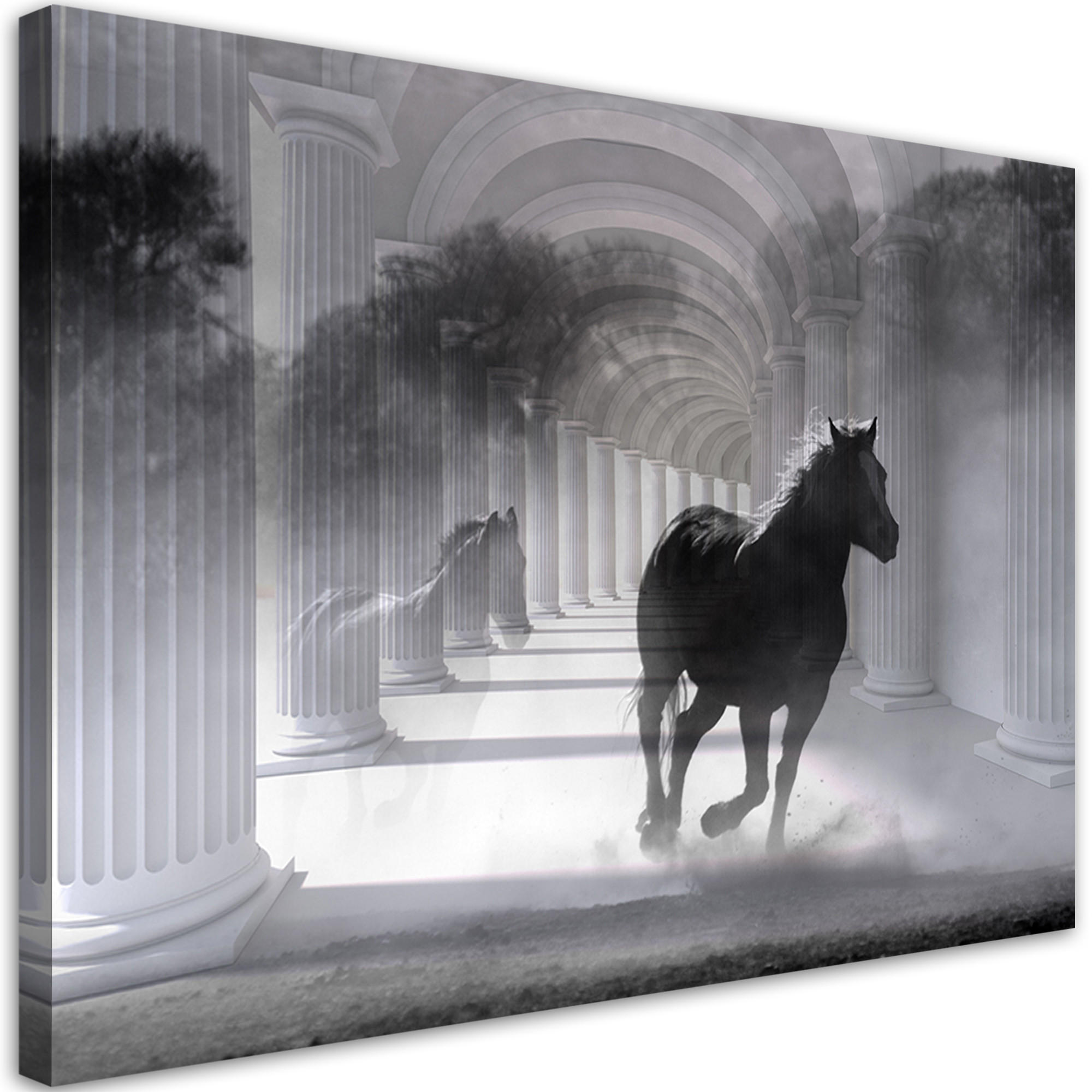 WANDBILD pferd im galopp 3d tunnel - Schwarz, Textil (60/40cm) - Feeby