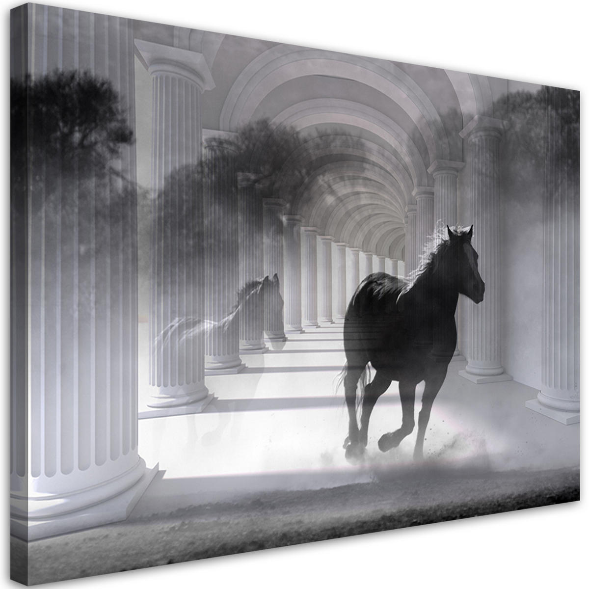 WANDBILD pferd im galopp 3d tunnel - Schwarz, Textil (60/40cm) - Feeby