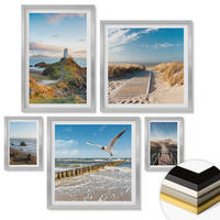WANDBILDER 5er Set - 50x50 cm & 20x30 cm & 40x60 cm Silberner Rahmen - Palmen am Meer, blaues Wasser - Silberfarben, Kunststoff (40/60cm) - ArtPrintCave