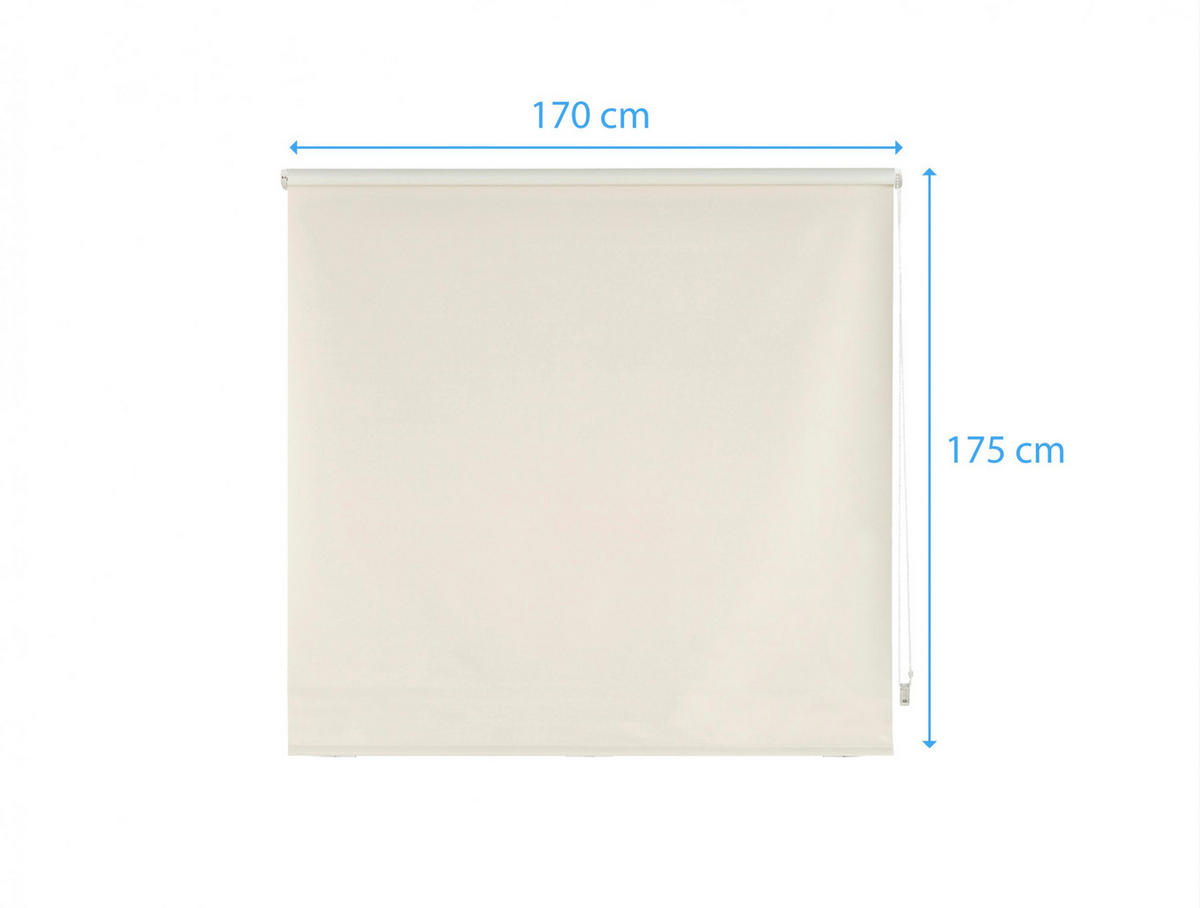 ROLLO Polyester Transluzent Beige 170x175 - Beige, Textil (170/175/1cm) - Purline