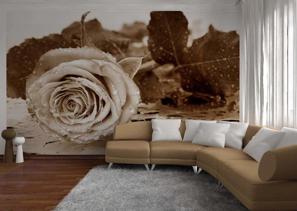 FOTOTAPETE Blumen 360 x 254 cm - Beige, Papier (360/254cm) - Sanders & Sanders