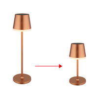 LED AUSSENLEUCHTE Solar Champagner satiniert - Champagner, Metall (11/11/41cm) - Globo Lighting