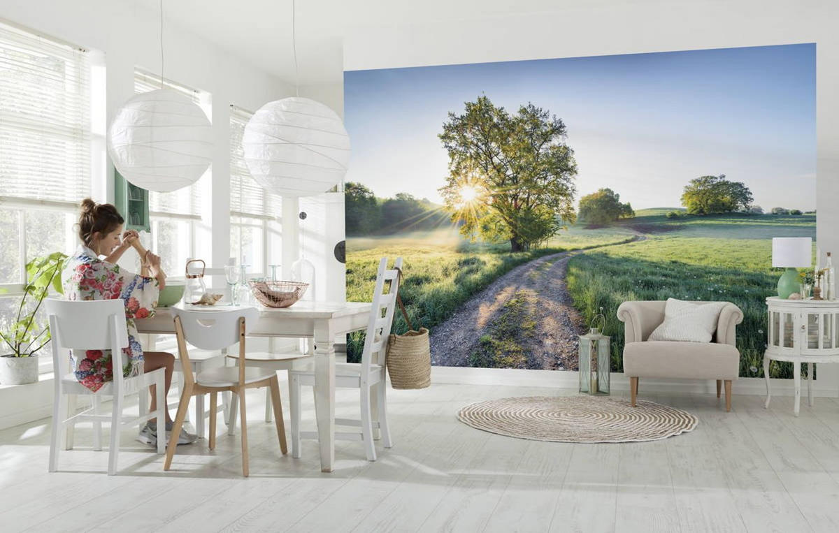 FOTOTAPETE Landschaft 400 x 250 cm - Grün, Papier (400/250cm) - Sanders & Sanders