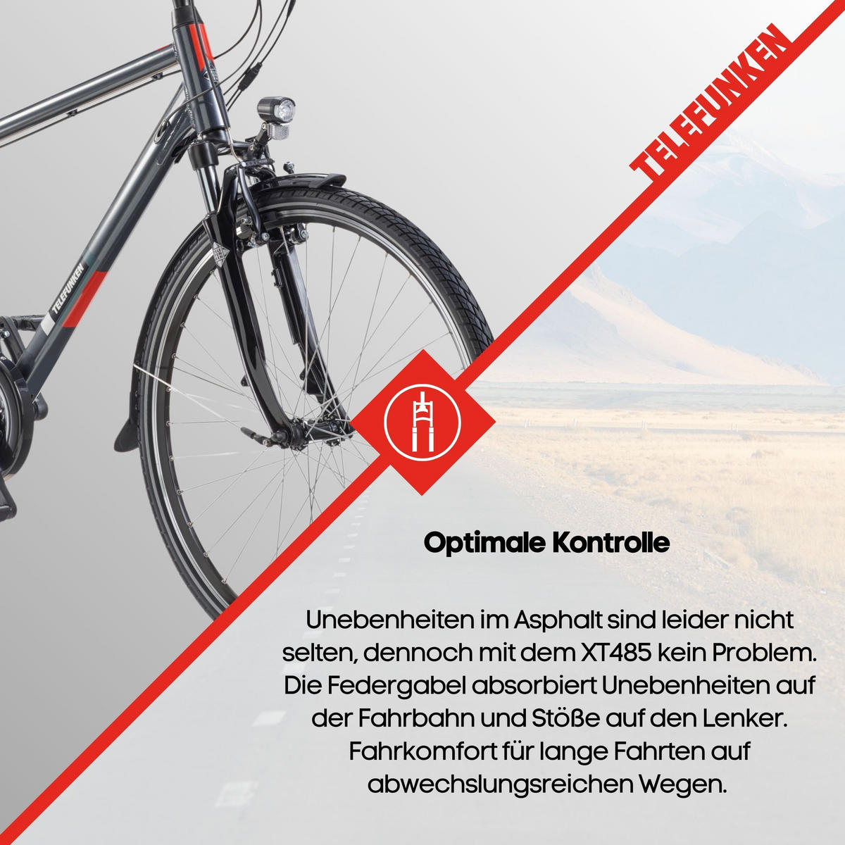 E-BIKE XT485 Trekking Elektrofahrrad 21-Gang Shimano Kettenschaltung, Pedelec, 14,5Ah, 37V Akku - Anthrazit, Metall (112cm) - Telefunken