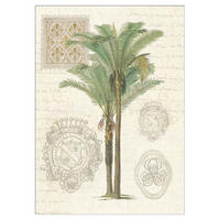 POSTER Wild Apple - Vintage Palm Study II - Grün, Papier (70/100/0.1cm) - Poster&Frame