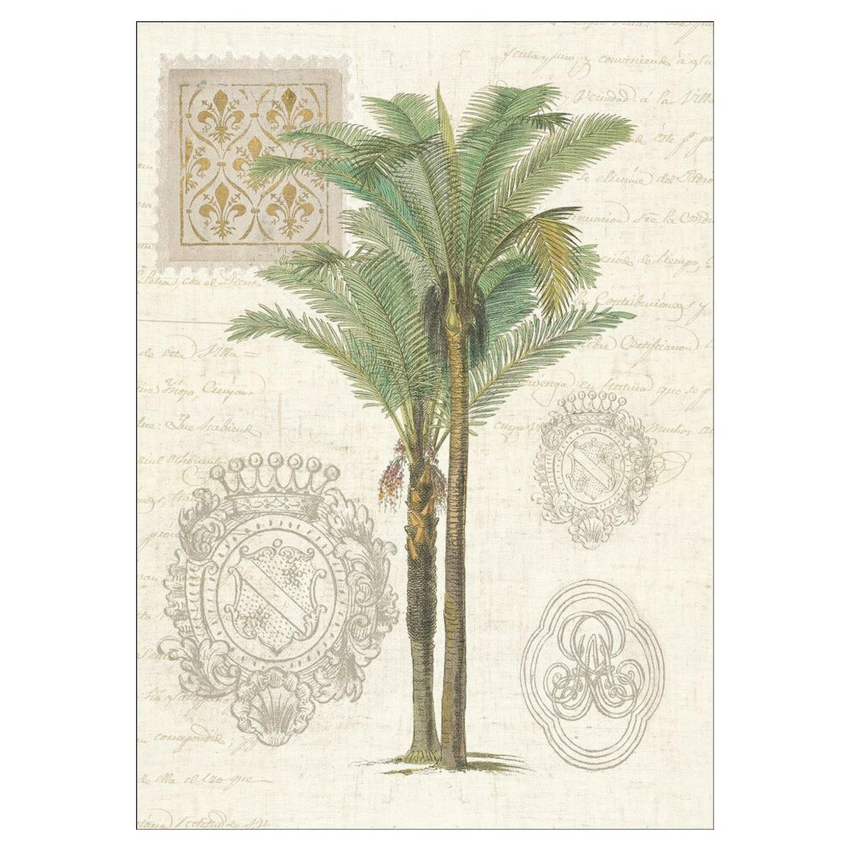 POSTER Wild Apple - Vintage Palm Study II - Grün, Papier (70/100/0.1cm) - Poster&Frame