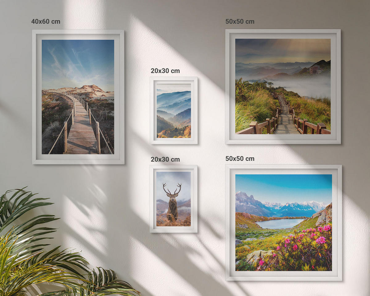 WANDBILDER 5er-Set - 50x50 cm & 20x30 cm & 40x60 cm Weißer Rahmen - Berglandschaft, See, Hirsche - Weiß, Kunststoff (40/60cm) - ArtPrintCave