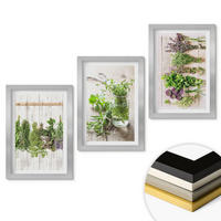 WANDBILDER 3er Set - 20x30 cm Silberner Rahmen - Kräuterpflanzen für die Küche - Silberfarben, Kunststoff (20/30cm) - ArtPrintCave