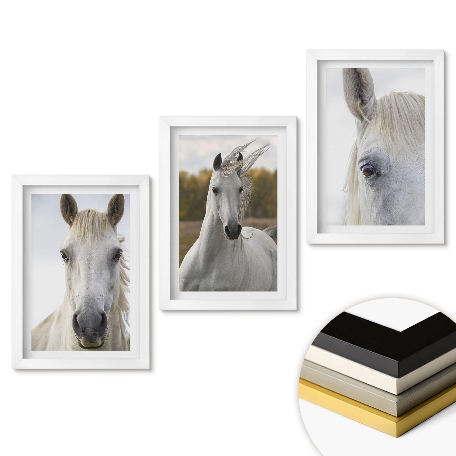 WANDBILDER 3er-Set - 20x30 cm Weißer Rahmen - Weiße Pferde in der Natur - Weiß, Kunststoff (20/30cm) - ArtPrintCave