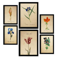 POSTER Set Mit 6 Blumen in Blau, Rot und Orange Größe A3 & A4 Schwarzer Rahmen - Schwarz, Papier (29.7/1cm) - Nacnic