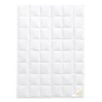 GANZJAHRESBETTDECKE MARIE Entendaunen medium - Weiß, Naturmaterialien/Textil (155/220cm) - Goldmarie 