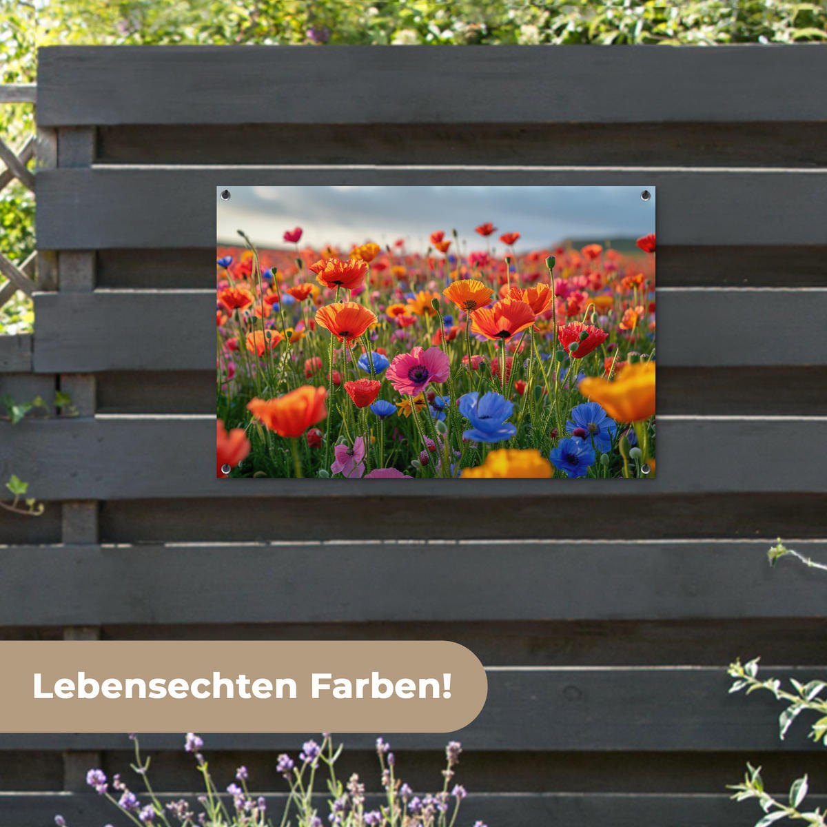 ZAHRADNÍ PLAKÁT Květiny - Mák - Barevné - Příroda 90x60 cm - tmavě oranžová, plast (90/60/0.2cm) - OnlyWow