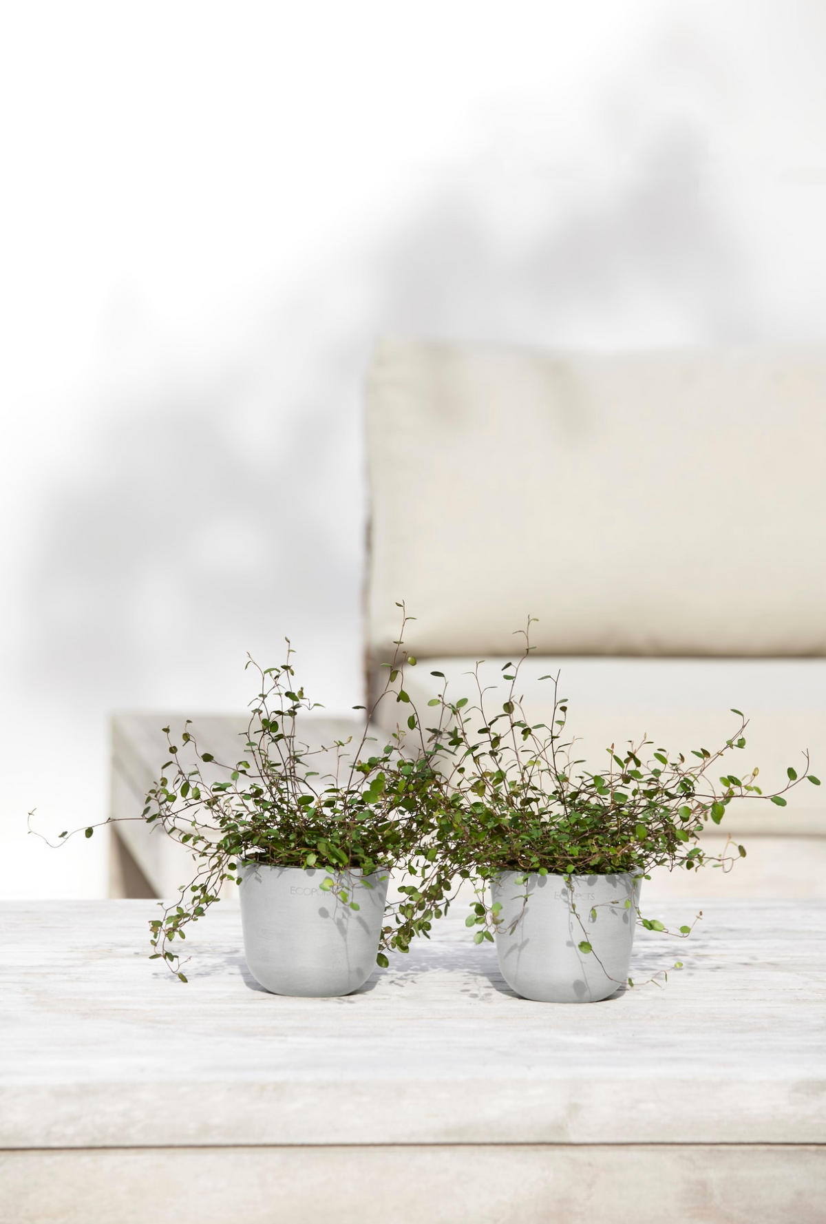 BLUMENTOPF Oslo Mini 11,4/9,5 cm Hellgrau - Hellgrau, Kunststoff (11.4/9.5cm) - Ecopots