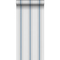 TAPETE Streifen 53 cm x 10.05 m - Grau, Papier (53/1000cm) - Sanders & Sanders