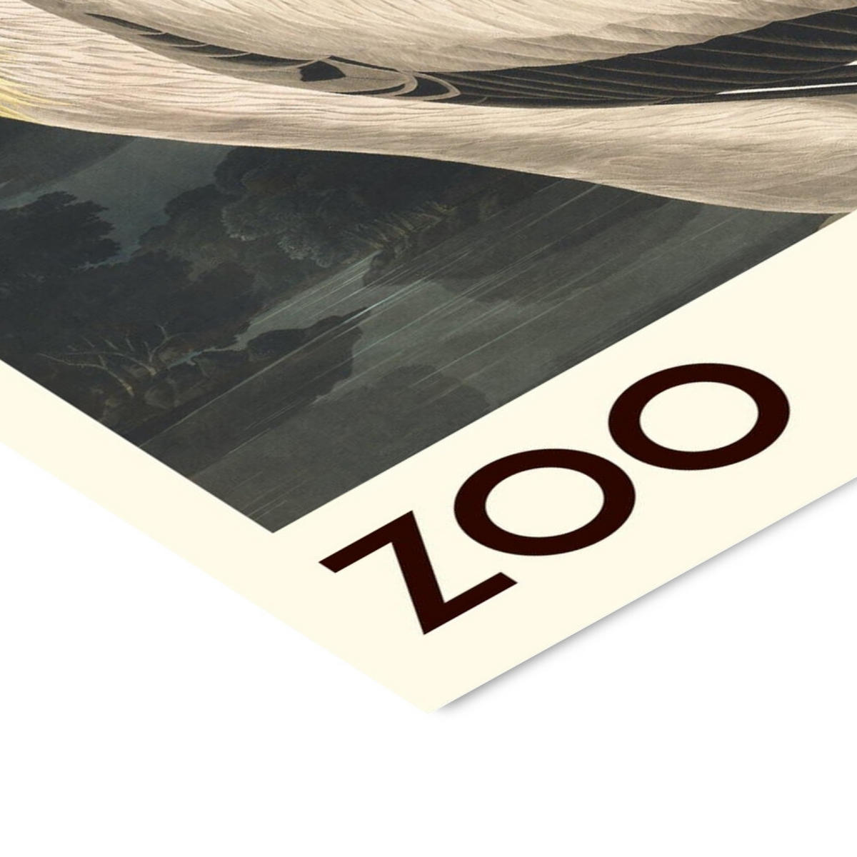 POSTER mit Rahmen A.P. Atelier - The Zoo Collection — White Pelican — Edt. 001 - Pink/Schwarz, Holz/Papier (70/100cm) - Poster&Frame