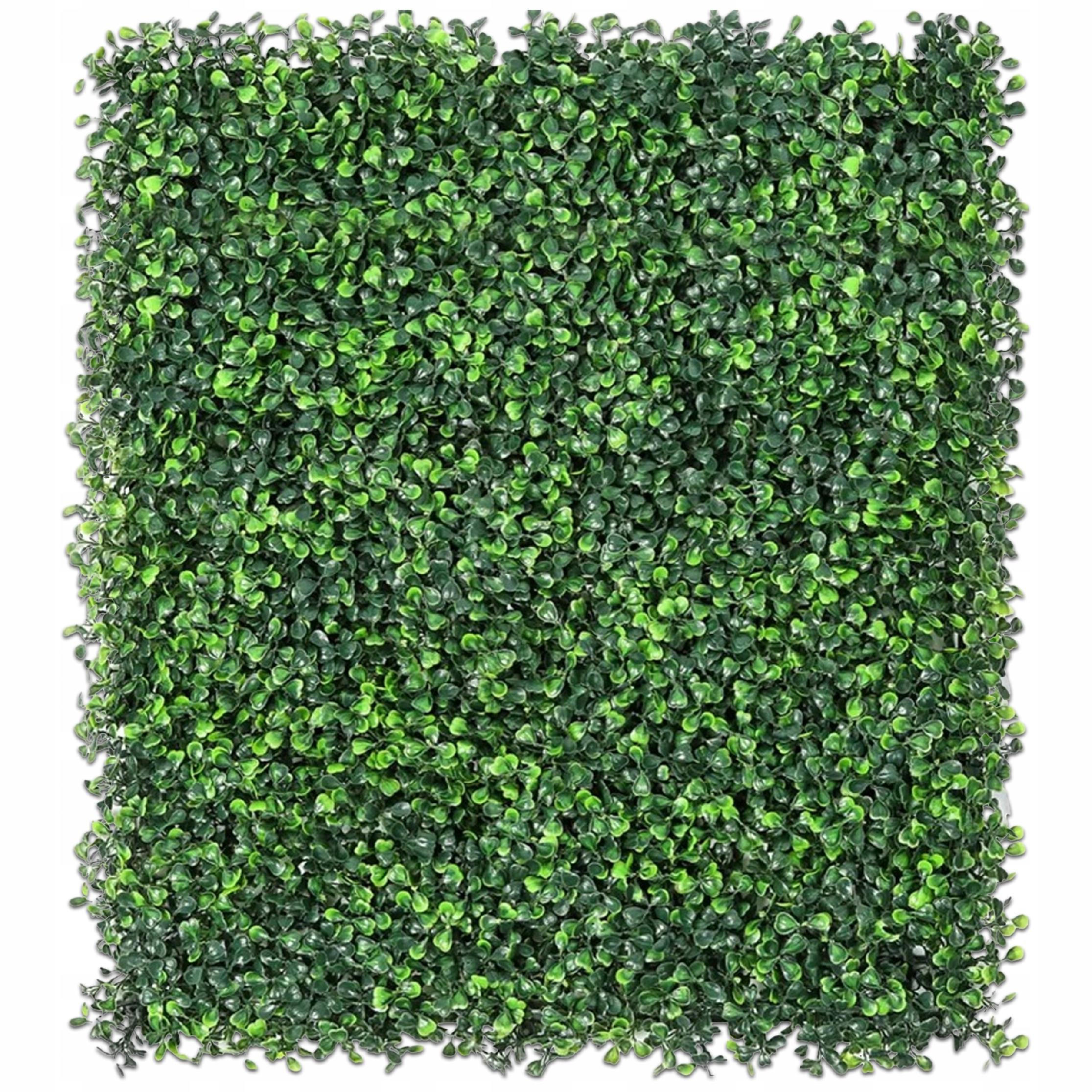 KÜNSTLICHE PFLANZENWAND 60x40cm - Grün, Kunststoff (60cm) - KRUMAD