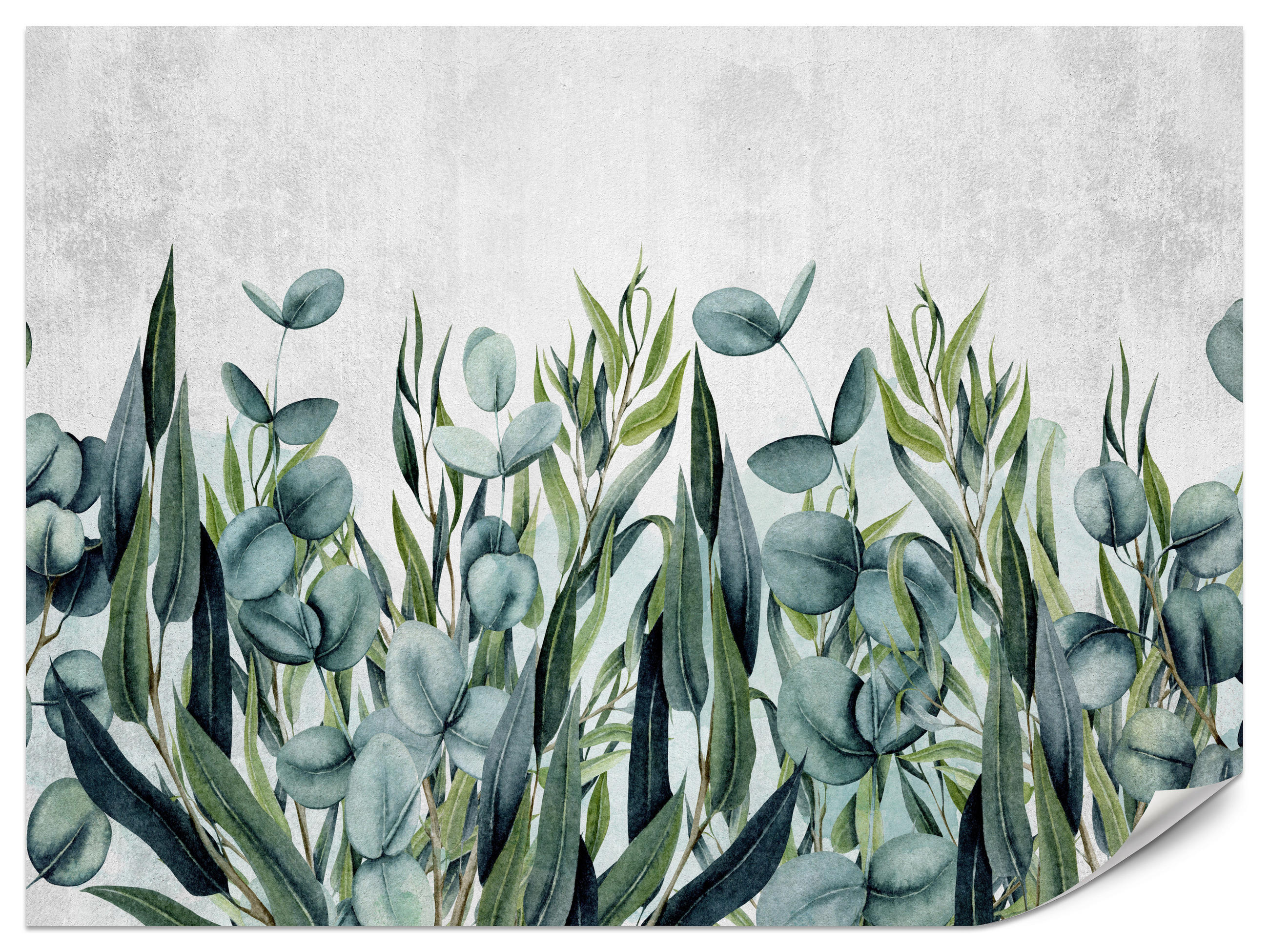 FOTOTAPETE für Schlafzimmer Beton Blätter Aquarell Natur Grün Eukalyptusblätter 500x350 - Grau/Grün, Papier (500/350cm) - Muralo