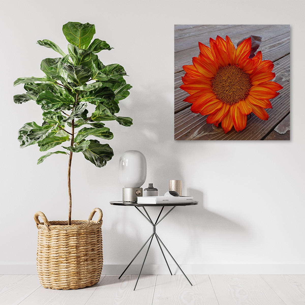 WANDBILD orangefarbene sonnenblume - Orange, Textil (50/50cm) - Feeby