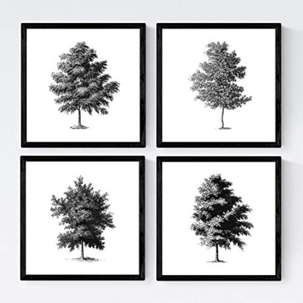 POSTER Set mit 4 Blättern der dünne Kruste weiß 20x20cm Rahmenlos - Klar, Papier (20/3cm) - Nacnic