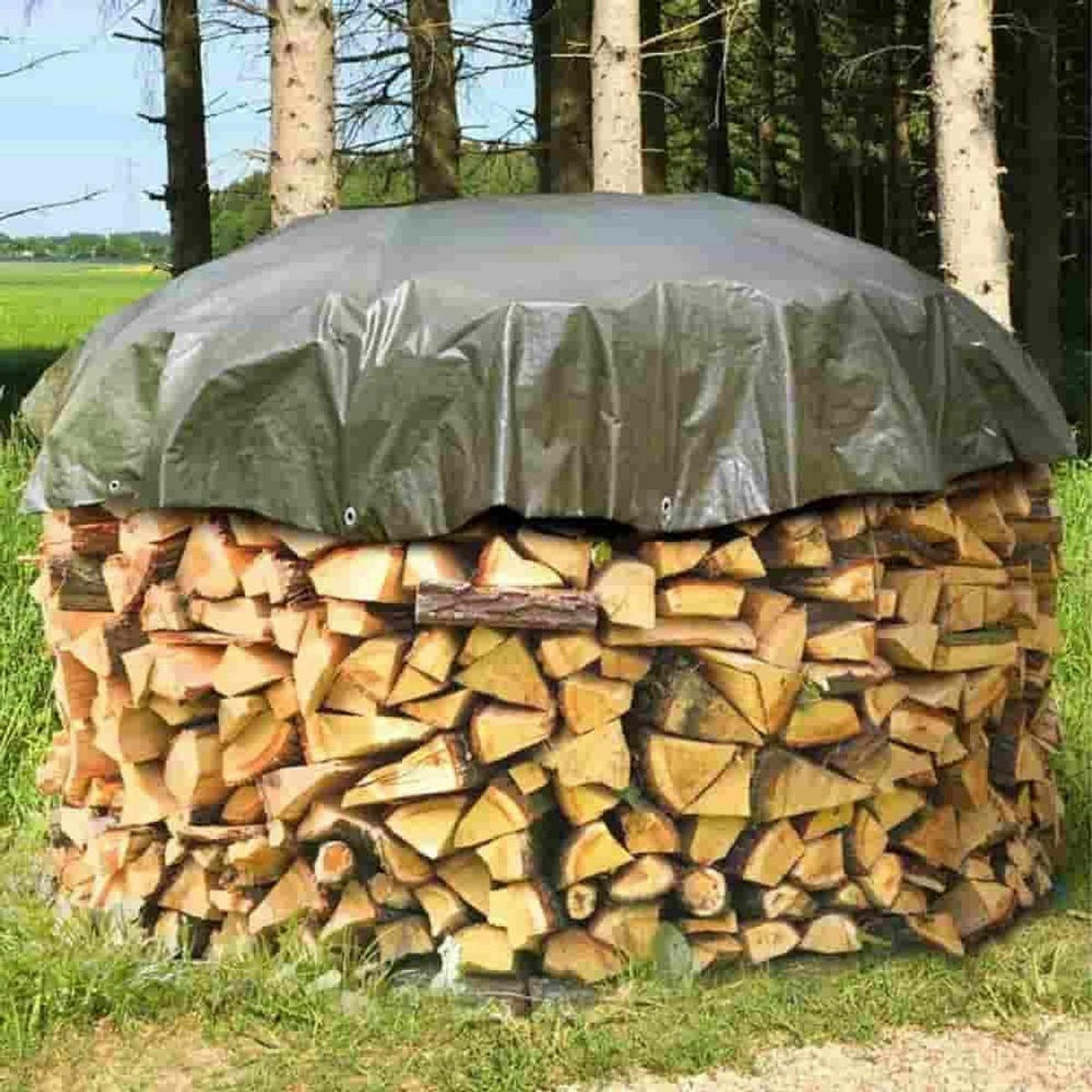 SCHUTZPLANE Rund, 210g/m², 5m, Grün - Grün, Kunststoff (500/500/1cm) - BONI-SHOP