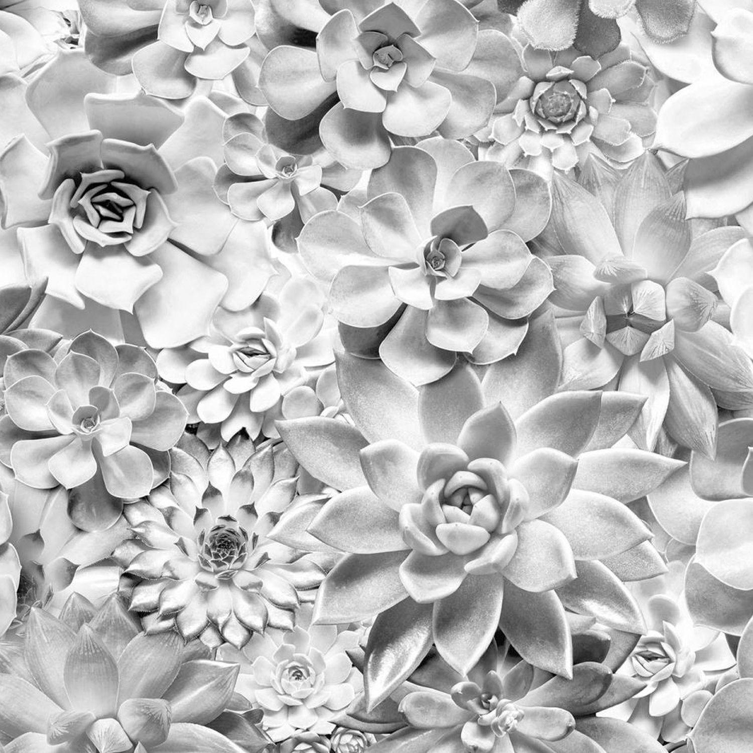 FOTOTAPETE Blätter 400 x 250 cm - Weiß, Papier (400/250cm) - Sanders & Sanders