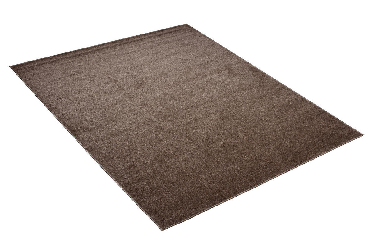 TEPPICH NOYAN BRAUN 300/400 cm - Braun, Textil (300/400cm) - Tapiso