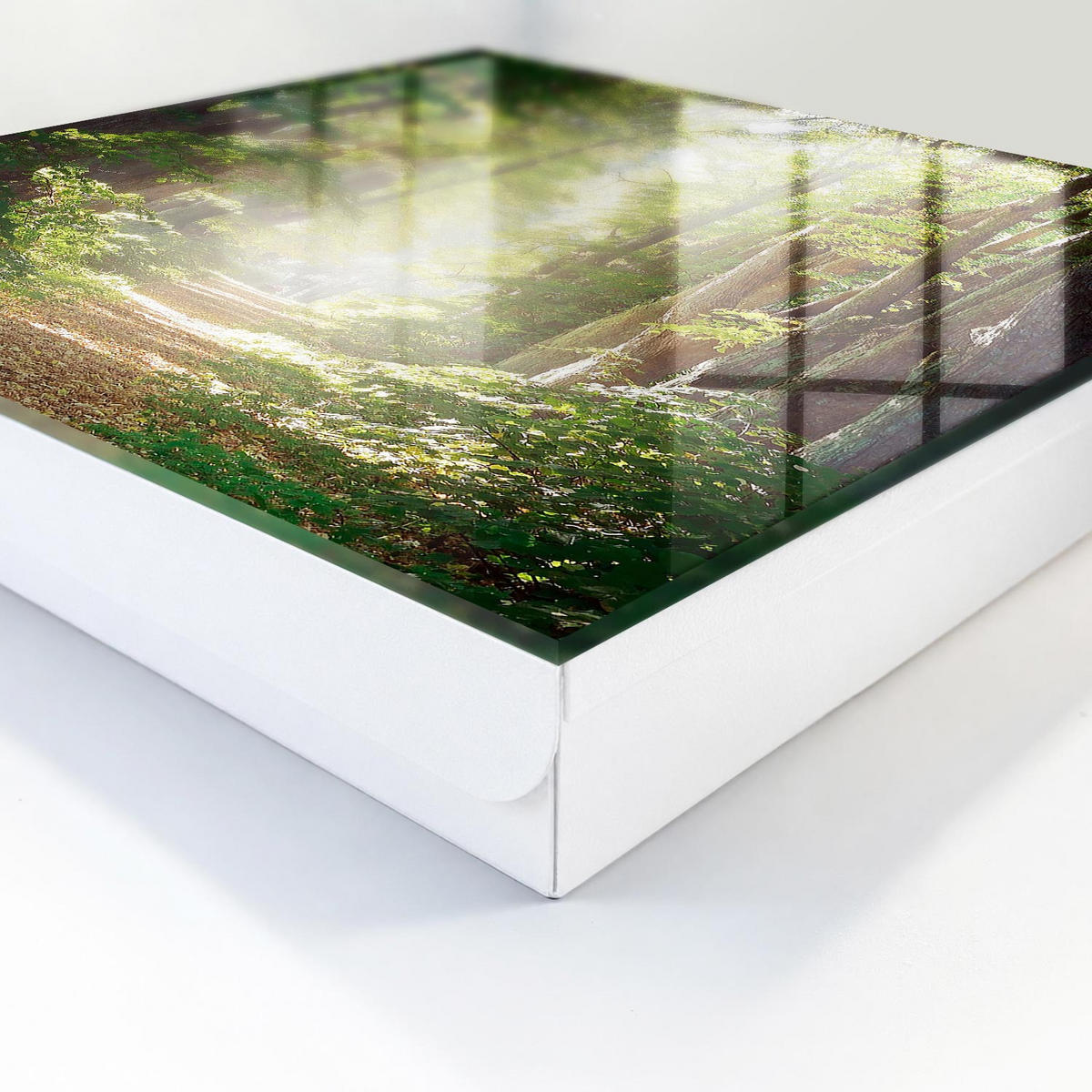 SCHLÜSSELBOX Weiß 30x30 cm – Türöffnung nach rechts - Waldlandschaft - Grün, Metall (30/30/5cm) - TULUP