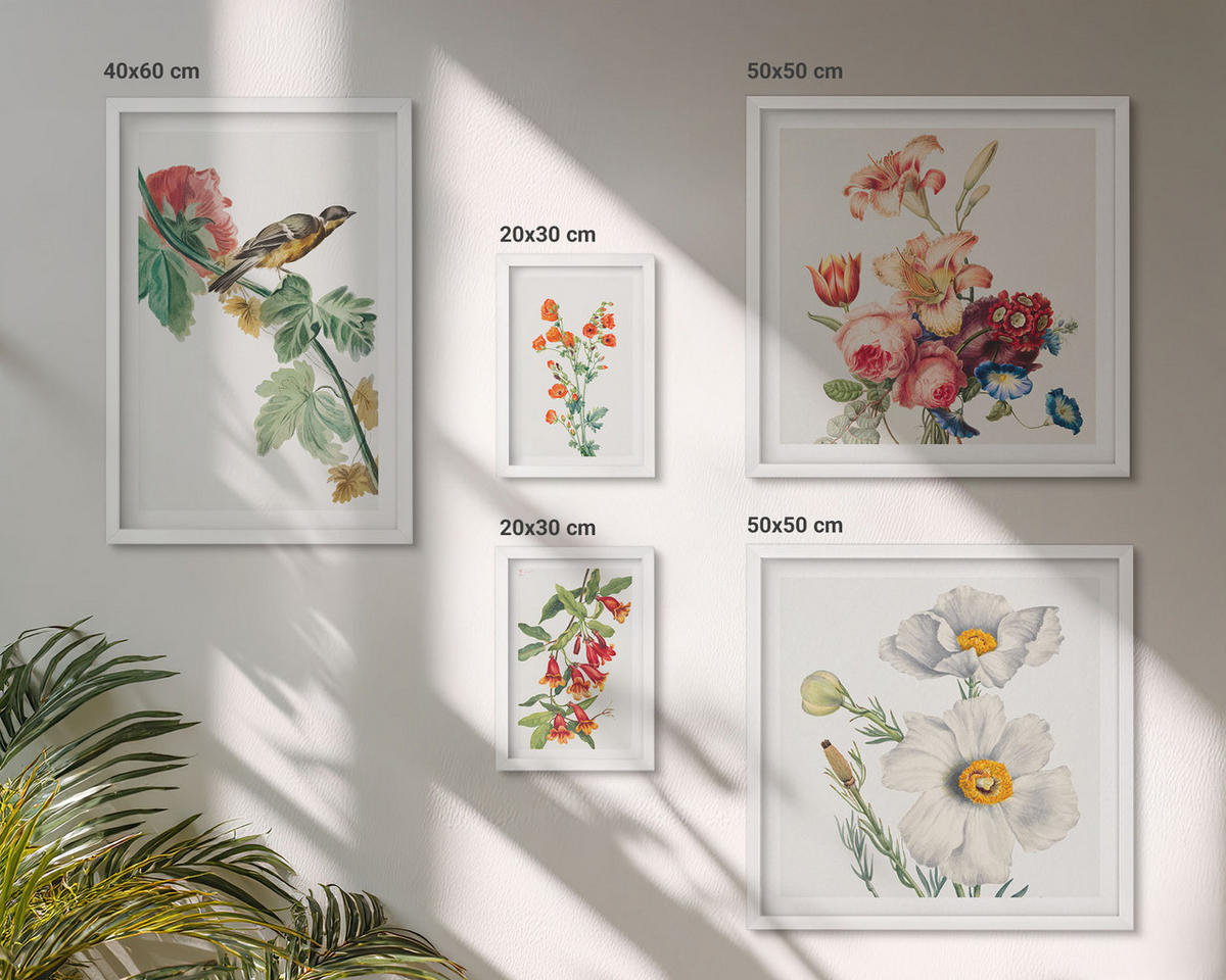 BILDER SET 5er Set - 50x50 cm & 20x30 cm & 40x60 cm Weißer Rahmen - Gemalte Blumen, Retro-Vogel - Weiß, Kunststoff (40/60cm) - TULUP