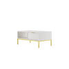 COUCHTISCH Austin II 60/45,4/100 cm - Goldfarben/Weiß, Holzwerkstoff (100/60/45cm) - Kocot Kids