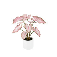 KÜNSTLICHE Caladium - Mayra 70 cm - Pink, Kunststoff (70cm) - aplanta