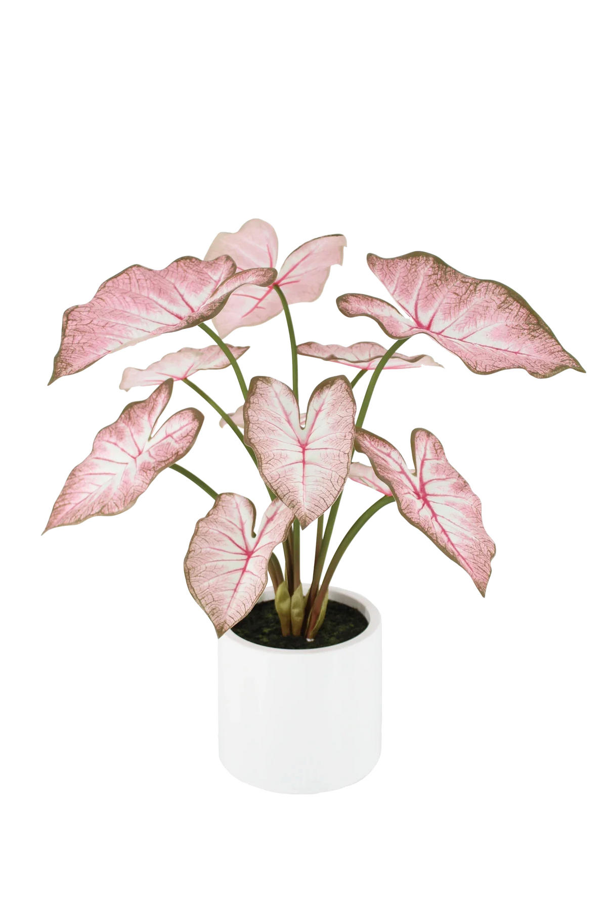 KÜNSTLICHE Caladium - Mayra 70 cm - Pink, Kunststoff (70cm) - aplanta