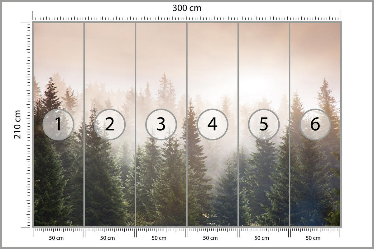 FOTOTAPETE für Wohnzimmer Nadelwald Bäume im Nebel Mystisch 300x210 - Orange/Braun, Papier (300/210cm) - Muralo
