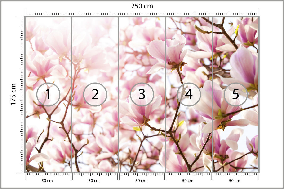 FOTOTAPETE für Schlafzimmer Rosa Magnolienblüten Floral Delikat 250x175 - Violett/Rosa, Papier (250/175cm) - Muralo
