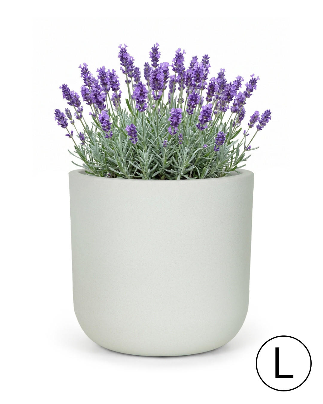 BLUMENTOPF Weiß Ecru ELEGANTE L 44x44x43 cm - Hellgrau, Kunststoff (43cm) - Mazovia