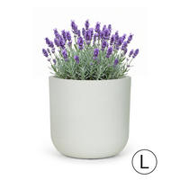 BLUMENTOPF Weiß Ecru ELEGANTE L 44x44x43 cm - Hellgrau, Kunststoff (43cm) - Mazovia