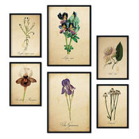 POSTER Set Mit 6 Vintage-Blumen Größe A3 und A4 Rahmenlos - Klar, Papier (29.7/1/42cm) - Nacnic